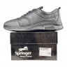 Кроссовки Мужские кожаные SPRINGER 2030 SB-410-2 черный