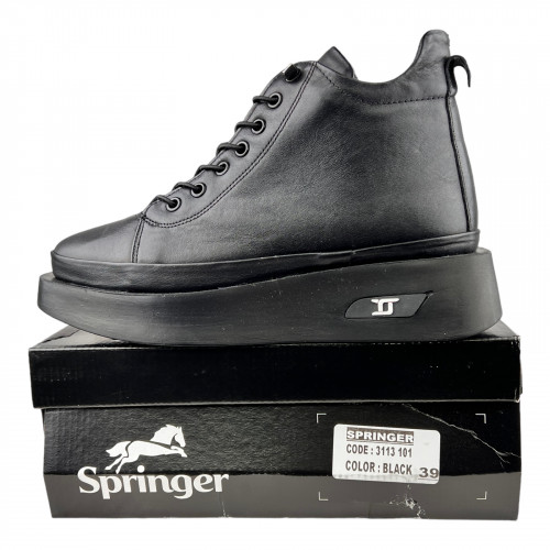Ботинки Женские кожаные SPRINGER 3113 101 черный