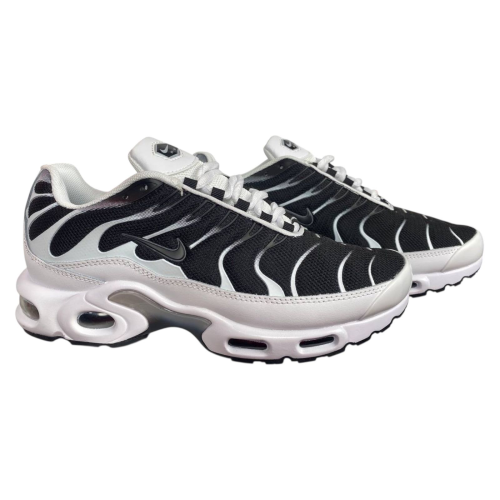Кроссовки мужские текстильные NIKE AIR MAX TN PLUS 1095-8 чорно-белые