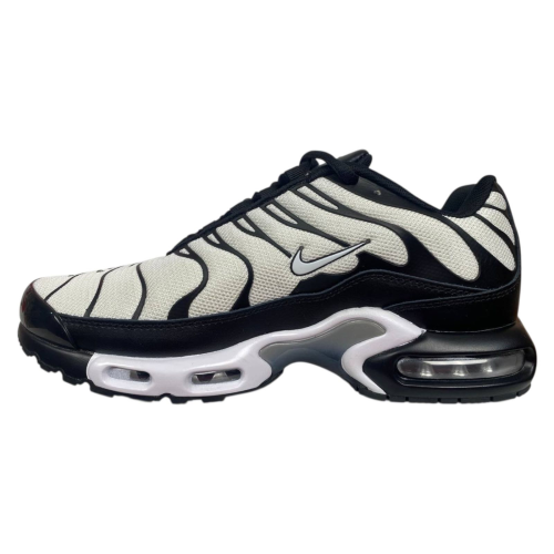 Кроссовки мужские текстильные NIKE AIR MAX TN PLUS 1095-3 бело-черный