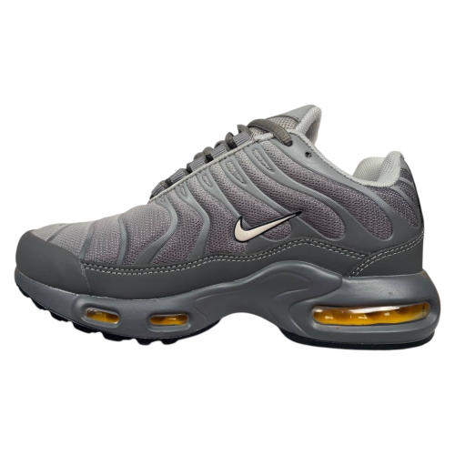 Кроссовки мужские текстильные NIKE AIR MAX TN PLUS B2767-11 серые 