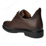 Туфлі Жіночі шкіряні YYY F3 22 коричневий