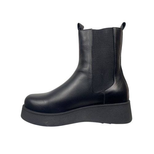 Ботинки женские кожаные ANNA LUCCI 40015-R02-02 байка черные