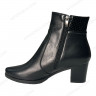 Черевики Жіночі шкіряні на каблуку ELVIX 5137 байка