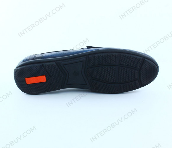 Лоферы Мужские кожаные Tigana 504 2 синий