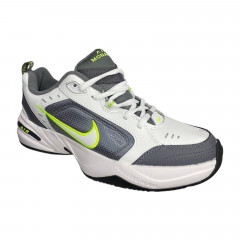 Кросівки чоловічі NIKE 3139-6 білий сірий 